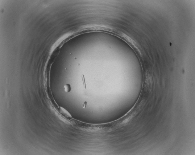 X0000083621082200702260947