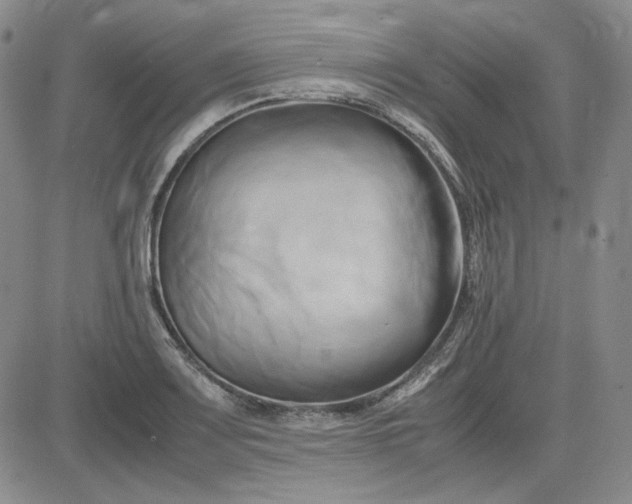 X0000083621083200702260947