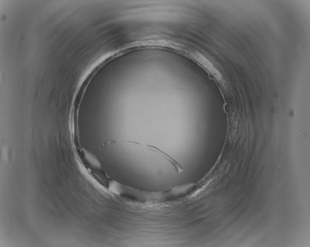 X0000083621084200702260947