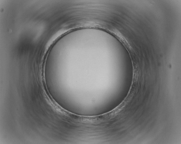 X0000083621086200702260947