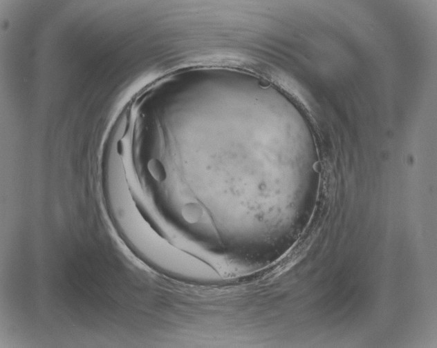 X0000083621087200702260947