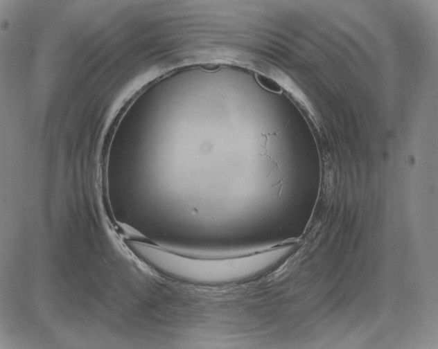 X0000083621088200702260947