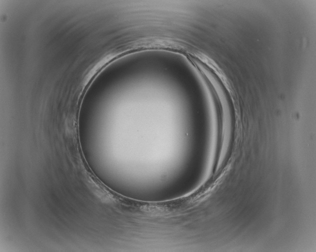 X0000083621089200702260947