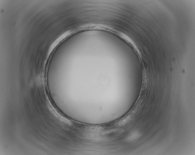 X0000083621090200702260947