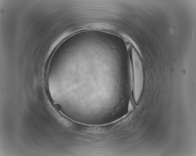 X0000083621091200702260947