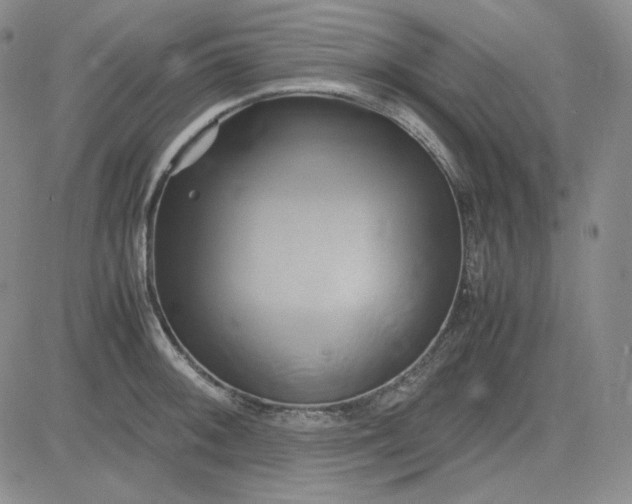 X0000083621092200702260947