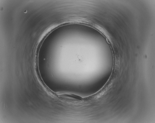 X0000083621093200702260947