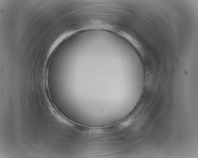 X0000083621094200702260947