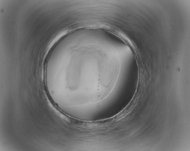 X0000083621095200702260947