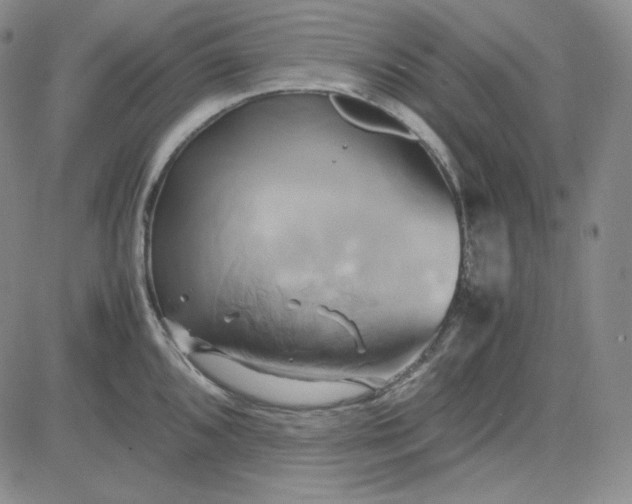 X0000083621096200702260947