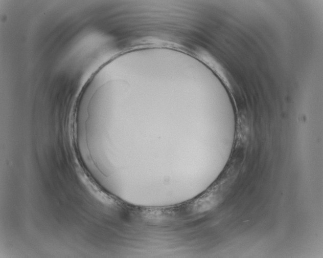 X0000083621098200702260947