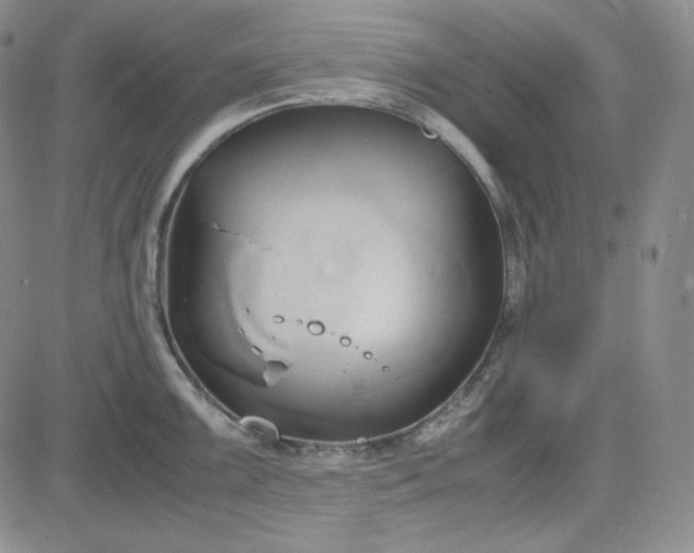 X0000083621099200702260947