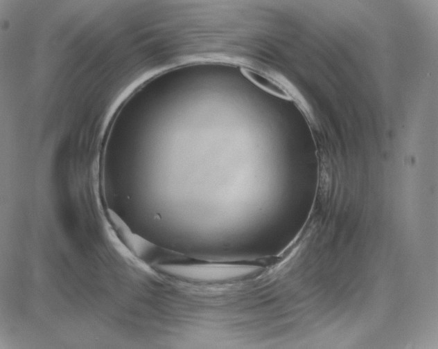 X0000083621100200702260947