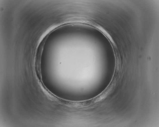 X0000083621101200702260947