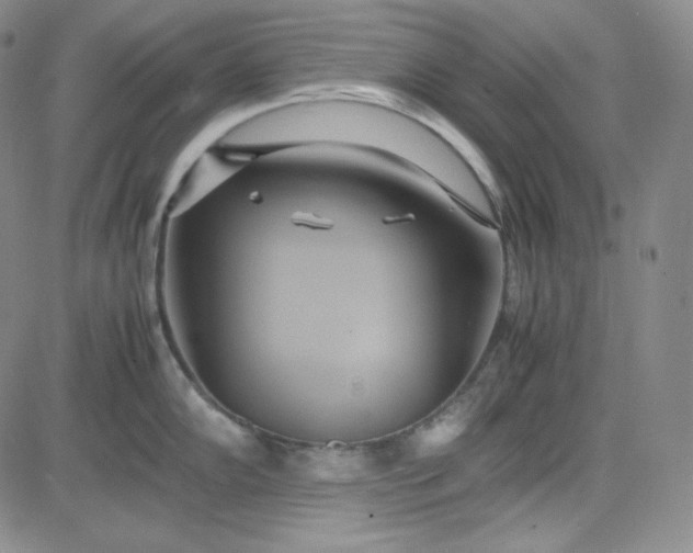 X0000083621102200702260947