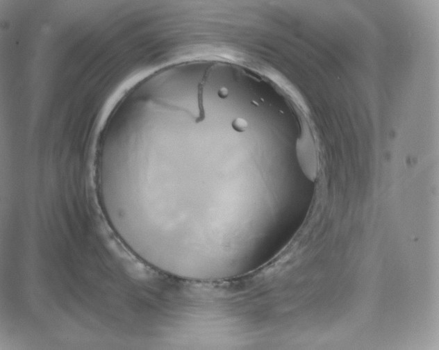 X0000083621104200702260947