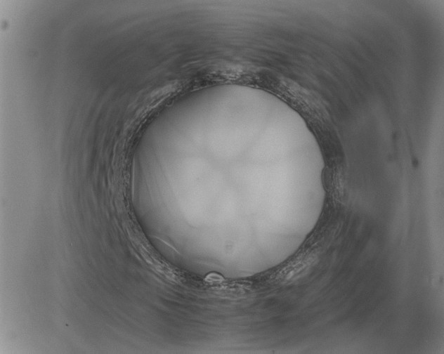 X0000083621105200702260946