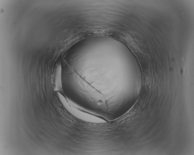 X0000083621106200702260946