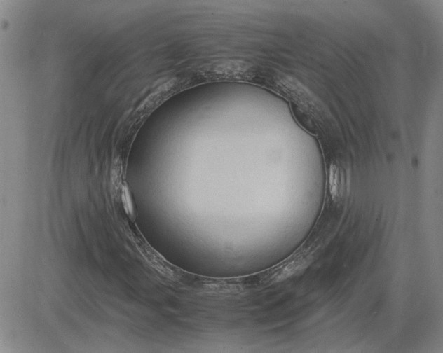 X0000083621107200702260946