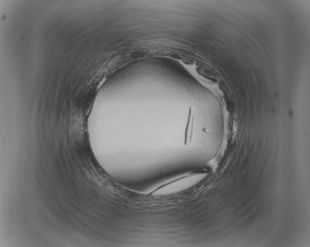 X0000083621108200702260946