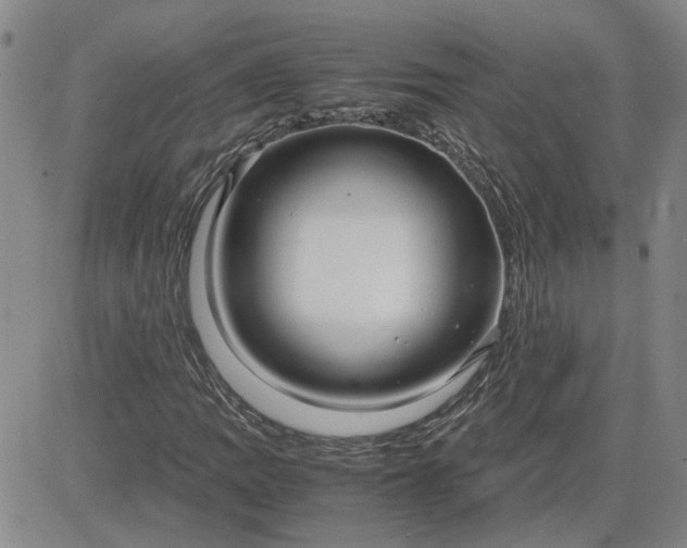 X0000083621109200702260946