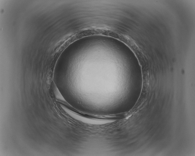 X0000083621110200702260946