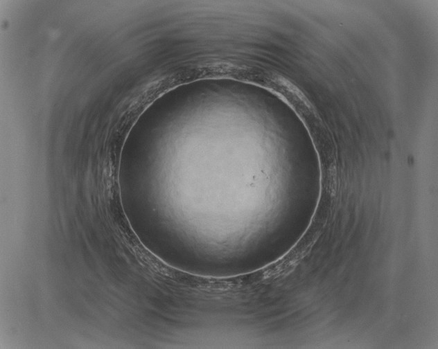 X0000083621111200702260946