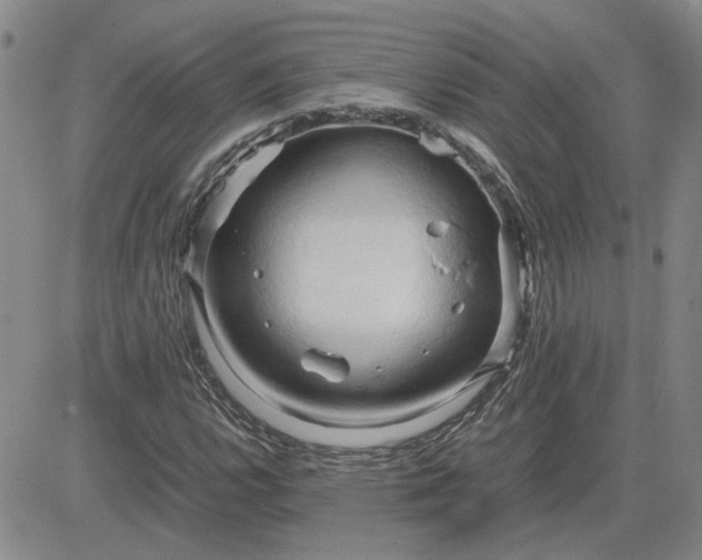 X0000083621112200702260946