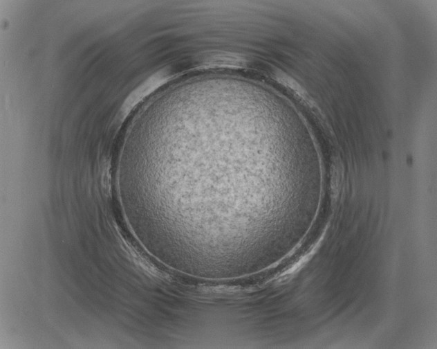 X0000083621113200702260946