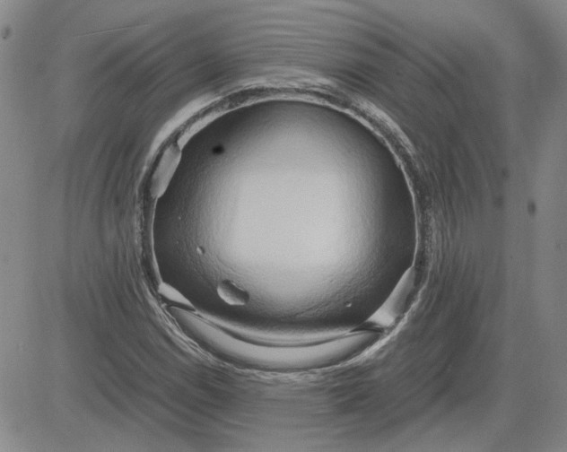 X0000083621114200702260946