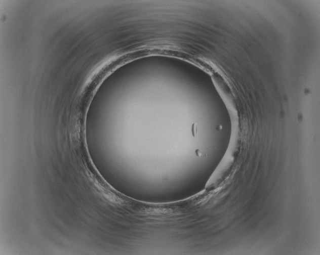 X0000083621115200702260946