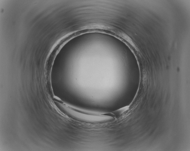 X0000083621116200702260946