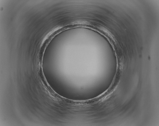 X0000083621117200702260946