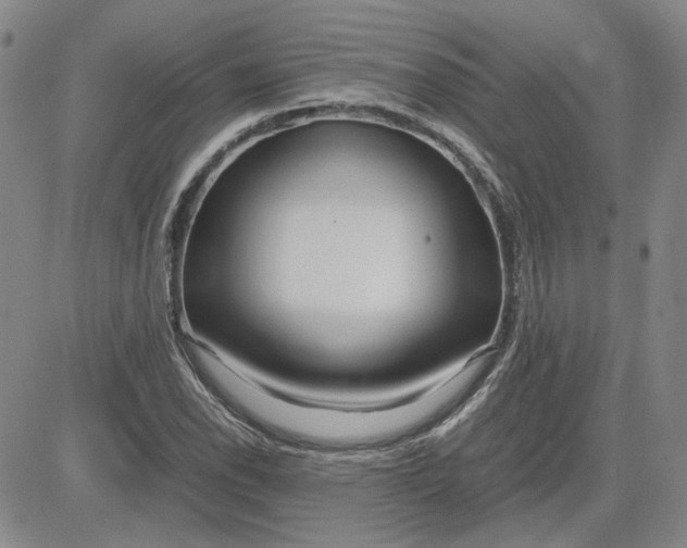 X0000083621118200702260946