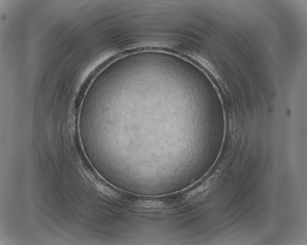 X0000083621119200702260946