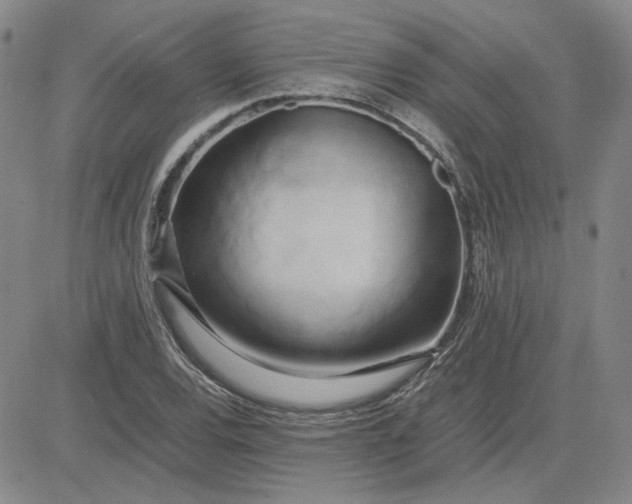 X0000083621120200702260946