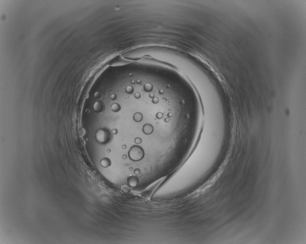 X0000083621121200702260946