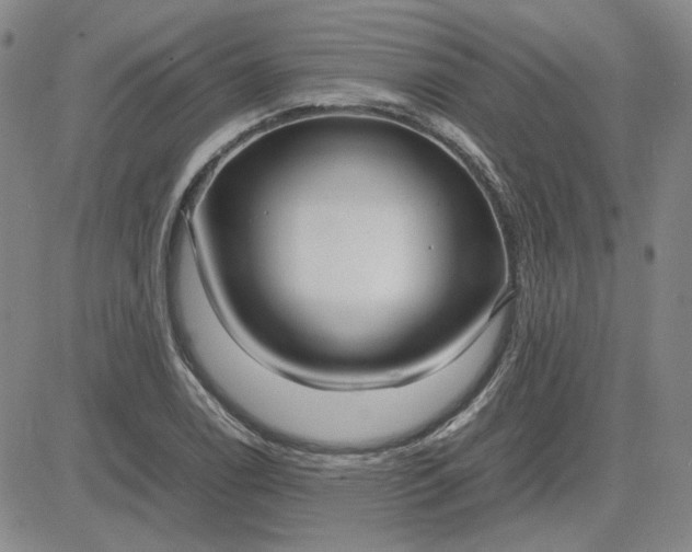 X0000083621122200702260946