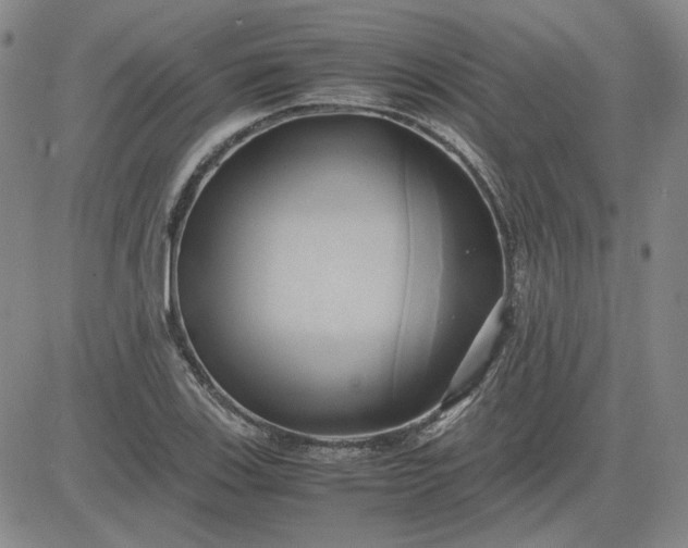 X0000083621123200702260946