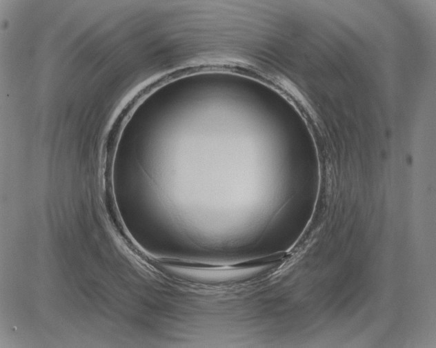 X0000083621124200702260946