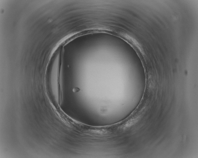 X0000083621125200702260946