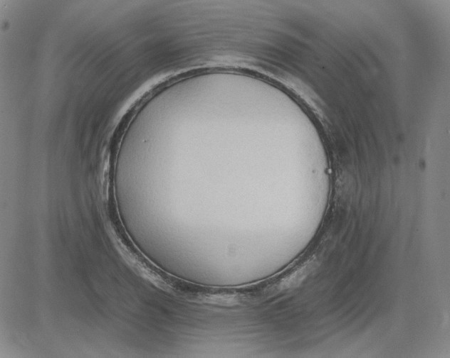 X0000083621126200702260946