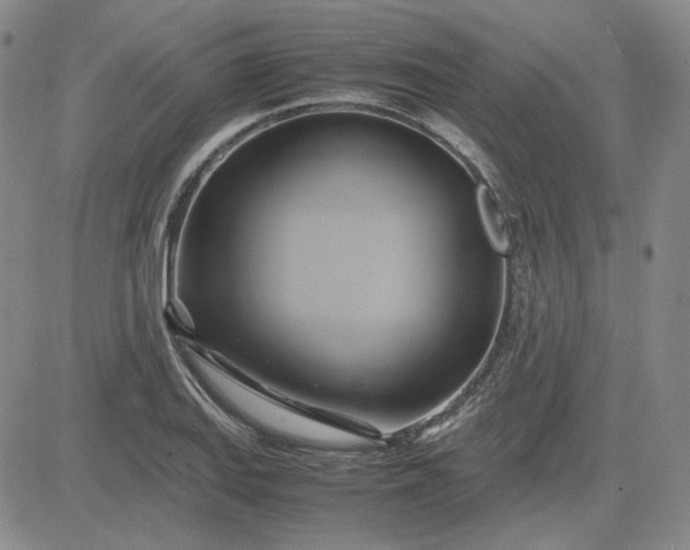 X0000083621127200702260946