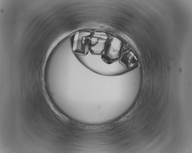 X0000083621128200702260946