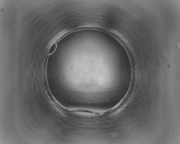 X0000083621129200702260946