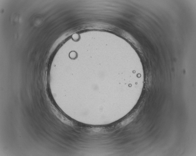 X0000083621130200702260946