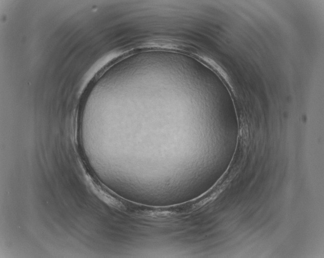 X0000083621131200702260946