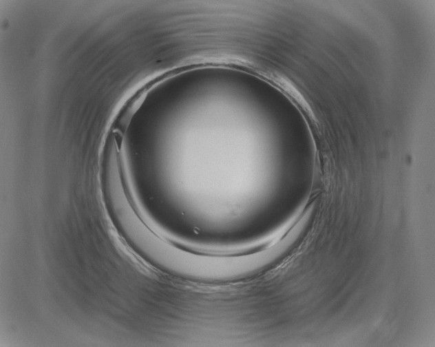 X0000083621132200702260946