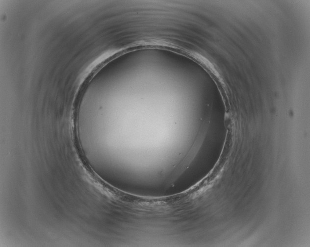 X0000083621133200702260946