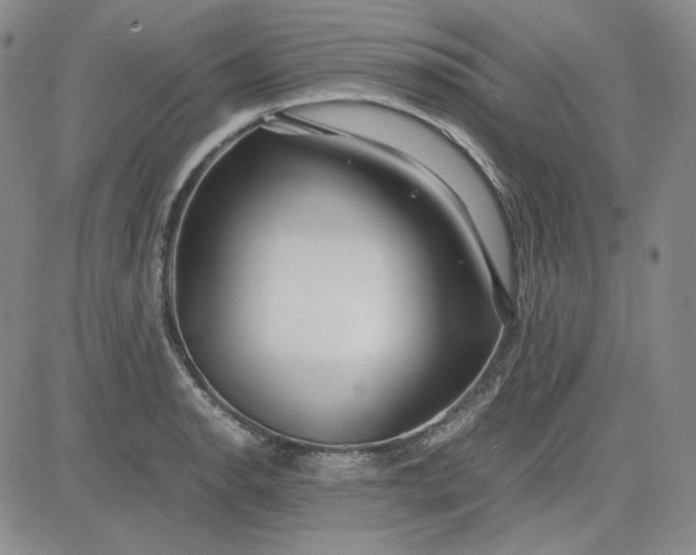 X0000083621134200702260947